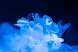 Profumo di donna, dopo la menopausa